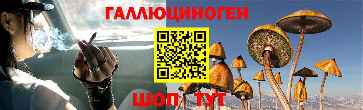 Заволжье  Псилоцибиновые грибы прущие грибы  Вход с VPN 